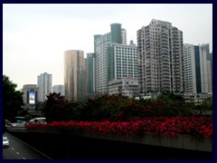 Flowers and skyscrapers of Luohu district.